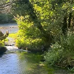Whispering Waters *